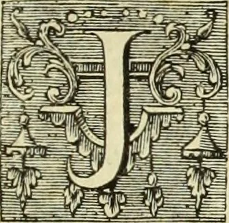 An illustration from Abregé de la vie des fameux peintres : avec leurs portraits gravés en taille-douce, les indications de leurs principaux ouvrages, quelques réflexions sur leurs caractéres, et la maniere de connoître les desseins des grands maîtres, 1745, leaf 56