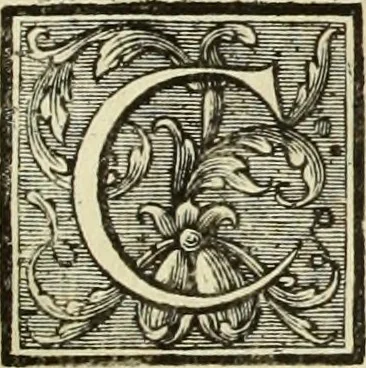 An illustration from Abregé de la vie des fameux peintres : avec leurs portraits gravés en taille-douce, les indications de leurs principaux ouvrages, quelques réflexions sur leurs caractéres, et la maniere de connoître les desseins des grands maîtres, 1745, leaf 84