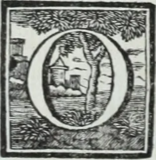 An illustration from Abregé de la vie des fameux peintres : avec leurs portraits gravés en taille-douce, les indications de leurs principaux ouvrages, quelques réflexions sur leurs caractéres, et la maniere de connoître les desseins des grands maîtres, 1745, leaf 91