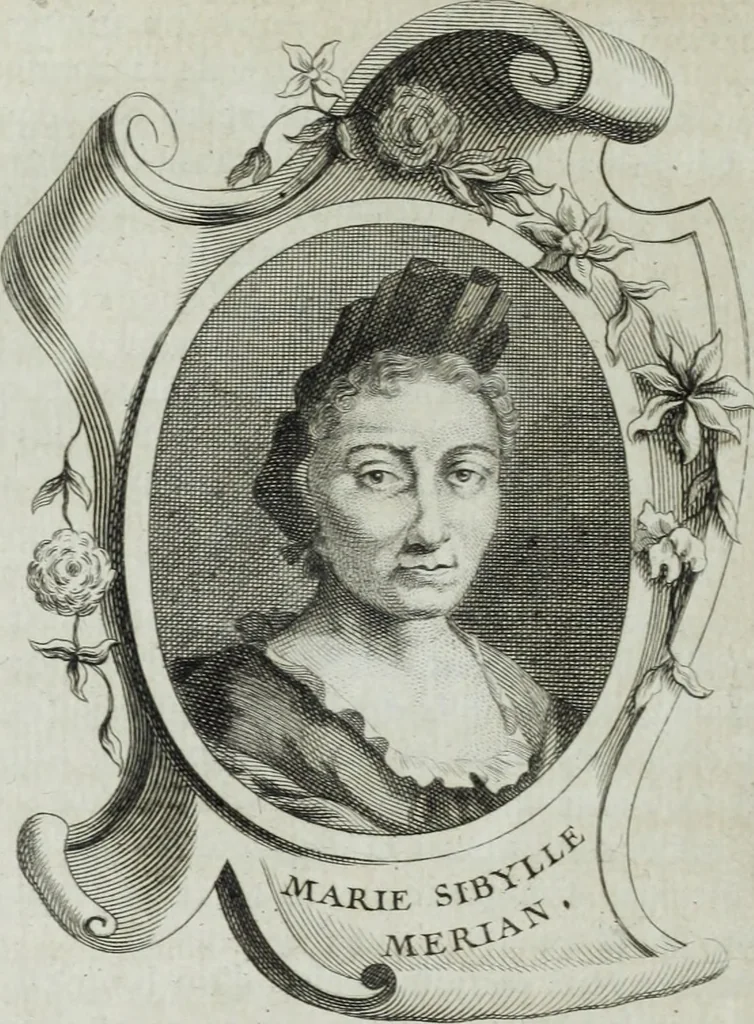An illustration from Abregé de la vie des fameux peintres : avec leurs portraits gravés en taille-douce, les indications de leurs principaux ouvrages, quelques réflexions sur leurs caractéres, et la maniere de connoître les desseins des grands maîtres, 1745, leaf 121