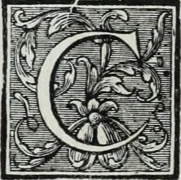 An illustration from Abregé de la vie des fameux peintres : avec leurs portraits gravés en taille-douce, les indications de leurs principaux ouvrages, quelques réflexions sur leurs caractéres, et la maniere de connoître les desseins des grands maîtres, 1745, leaf 129