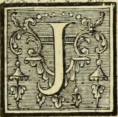 An illustration from Abregé de la vie des fameux peintres : avec leurs portraits gravés en taille-douce, les indications de leurs principaux ouvrages, quelques réflexions sur leurs caractéres, et la maniere de connoître les desseins des grands maîtres, 1745, leaf 142