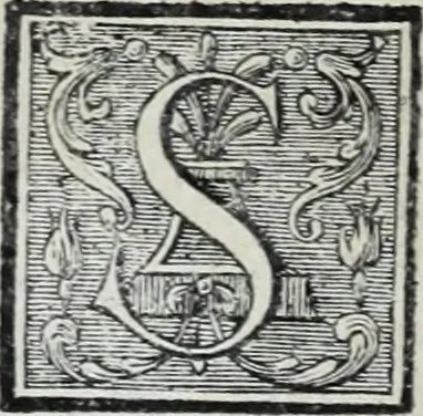 An illustration from Abregé de la vie des fameux peintres : avec leurs portraits gravés en taille-douce, les indications de leurs principaux ouvrages, quelques réflexions sur leurs caractéres, et la maniere de connoître les desseins des grands maîtres, 1745, leaf 155