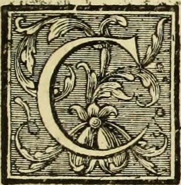 An illustration from Abregé de la vie des fameux peintres : avec leurs portraits gravés en taille-douce, les indications de leurs principaux ouvrages, quelques réflexions sur leurs caractéres, et la maniere de connoître les desseins des grands maîtres, 1745, leaf 164
