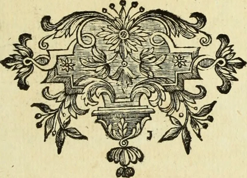 An illustration from Abregé de la vie des fameux peintres : avec leurs portraits gravés en taille-douce, les indications de leurs principaux ouvrages, quelques réflexions sur leurs caractéres, et la maniere de connoître les desseins des grands maîtres, 1745, leaf 166