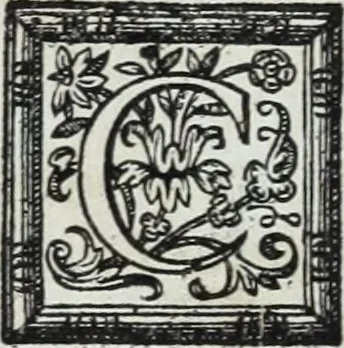 An illustration from Abregé de la vie des fameux peintres : avec leurs portraits gravés en taille-douce, les indications de leurs principaux ouvrages, quelques réflexions sur leurs caractéres, et la maniere de connoître les desseins des grands maîtres, 1745, leaf 167