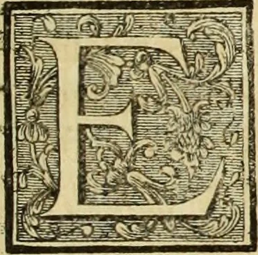 An illustration from Abregé de la vie des fameux peintres : avec leurs portraits gravés en taille-douce, les indications de leurs principaux ouvrages, quelques réflexions sur leurs caractéres, et la maniere de connoître les desseins des grands maîtres, 1745, leaf 176