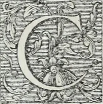 An illustration from Abregé de la vie des fameux peintres : avec leurs portraits gravés en taille-douce, les indications de leurs principaux ouvrages, quelques réflexions sur leurs caractéres, et la maniere de connoître les desseins des grands maîtres, 1745, leaf 179