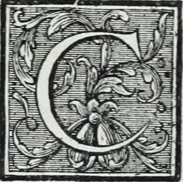 An illustration from Abregé de la vie des fameux peintres : avec leurs portraits gravés en taille-douce, les indications de leurs principaux ouvrages, quelques réflexions sur leurs caractéres, et la maniere de connoître les desseins des grands maîtres, 1745, leaf 205