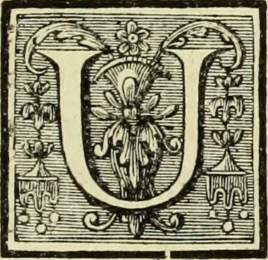 An illustration from Abregé de la vie des fameux peintres : avec leurs portraits gravés en taille-douce, les indications de leurs principaux ouvrages, quelques réflexions sur leurs caractéres, et la maniere de connoître les desseins des grands maîtres, 1745, leaf 216