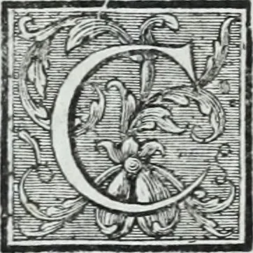An illustration from Abregé de la vie des fameux peintres : avec leurs portraits gravés en taille-douce, les indications de leurs principaux ouvrages, quelques réflexions sur leurs caractéres, et la maniere de connoître les desseins des grands maîtres, 1745, leaf 219