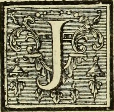 An illustration from Abregé de la vie des fameux peintres : avec leurs portraits gravés en taille-douce, les indications de leurs principaux ouvrages, quelques réflexions sur leurs caractéres, et la maniere de connoître les desseins des grands maîtres, 1745, leaf 222