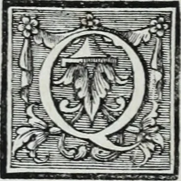 An illustration from Abregé de la vie des fameux peintres : avec leurs portraits gravés en taille-douce, les indications de leurs principaux ouvrages, quelques réflexions sur leurs caractéres, et la maniere de connoître les desseins des grands maîtres, 1745, leaf 225