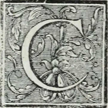 An illustration from Abregé de la vie des fameux peintres : avec leurs portraits gravés en taille-douce, les indications de leurs principaux ouvrages, quelques réflexions sur leurs caractéres, et la maniere de connoître les desseins des grands maîtres, 1745, leaf 241
