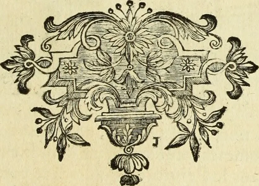 An illustration from Abregé de la vie des fameux peintres : avec leurs portraits gravés en taille-douce, les indications de leurs principaux ouvrages, quelques réflexions sur leurs caractéres, et la maniere de connoître les desseins des grands maîtres, 1745, leaf 244