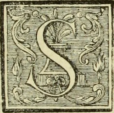 An illustration from Abregé de la vie des fameux peintres : avec leurs portraits gravés en taille-douce, les indications de leurs principaux ouvrages, quelques réflexions sur leurs caractéres, et la maniere de connoître les desseins des grands maîtres, 1745, leaf 250