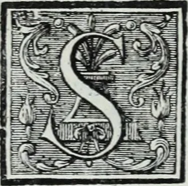An illustration from Abregé de la vie des fameux peintres : avec leurs portraits gravés en taille-douce, les indications de leurs principaux ouvrages, quelques réflexions sur leurs caractéres, et la maniere de connoître les desseins des grands maîtres, 1745, leaf 255