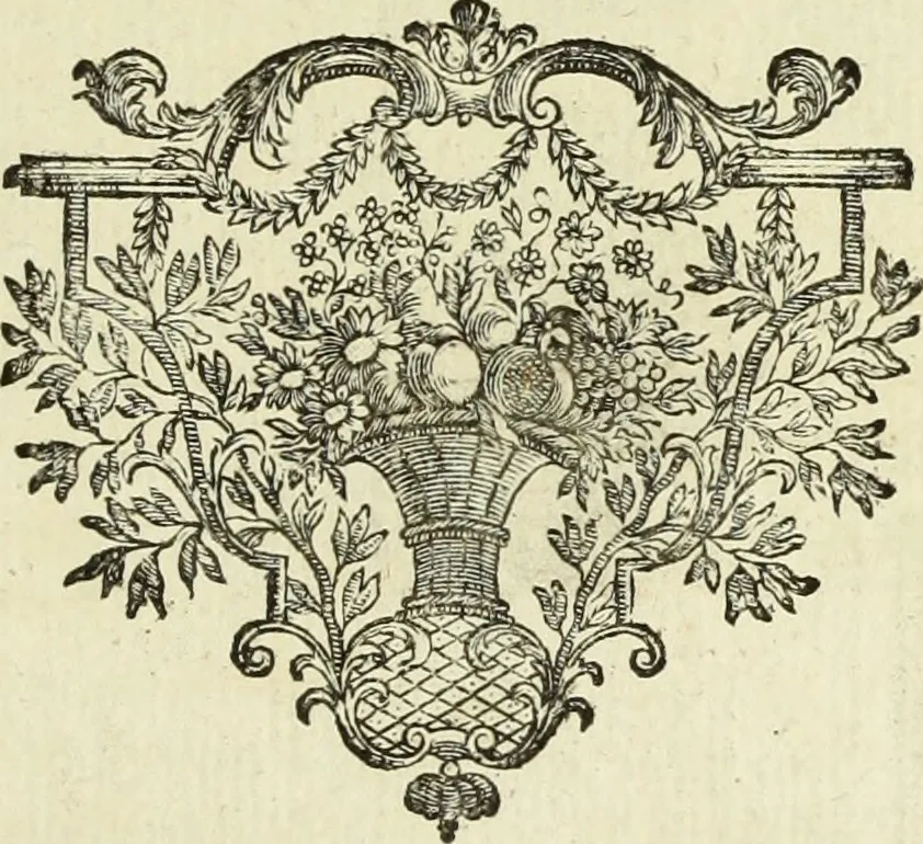 An illustration from Abregé de la vie des fameux peintres : avec leurs portraits gravés en taille-douce, les indications de leurs principaux ouvrages, quelques réflexions sur leurs caractéres, et la maniere de connoître les desseins des grands maîtres, 1745, leaf 262