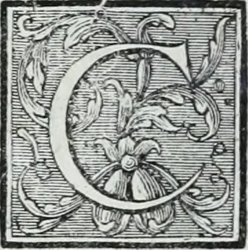 An illustration from Abregé de la vie des fameux peintres : avec leurs portraits gravés en taille-douce, les indications de leurs principaux ouvrages, quelques réflexions sur leurs caractéres, et la maniere de connoître les desseins des grands maîtres, 1745, leaf 269