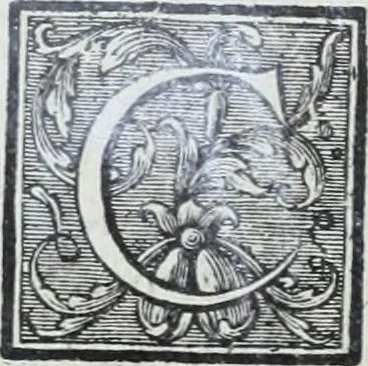 An illustration from Abregé de la vie des fameux peintres : avec leurs portraits gravés en taille-douce, les indications de leurs principaux ouvrages, quelques réflexions sur leurs caractéres, et la maniere de connoître les desseins des grands maîtres, 1745, leaf 301