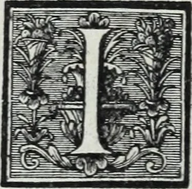 An illustration from Abregé de la vie des fameux peintres : avec leurs portraits gravés en taille-douce, les indications de leurs principaux ouvrages, quelques réflexions sur leurs caractéres, et la maniere de connoître les desseins des grands maîtres, 1745, leaf 307
