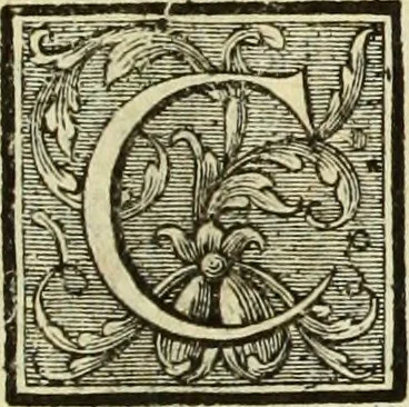 An illustration from Abregé de la vie des fameux peintres : avec leurs portraits gravés en taille-douce, les indications de leurs principaux ouvrages, quelques réflexions sur leurs caractéres, et la maniere de connoître les desseins des grands maîtres, 1745, leaf 312