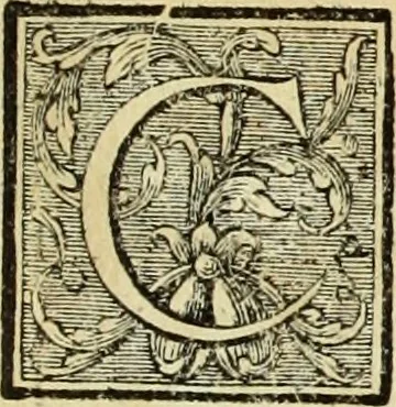 An illustration from Abregé de la vie des fameux peintres : avec leurs portraits gravés en taille-douce, les indications de leurs principaux ouvrages, quelques réflexions sur leurs caractéres, et la maniere de connoître les desseins des grands maîtres, 1745, leaf 44