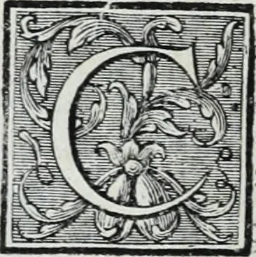 An illustration from Abregé de la vie des fameux peintres : avec leurs portraits gravés en taille-douce, les indications de leurs principaux ouvrages, quelques réflexions sur leurs caractéres, et la maniere de connoître les desseins des grands maîtres, 1745, leaf 57