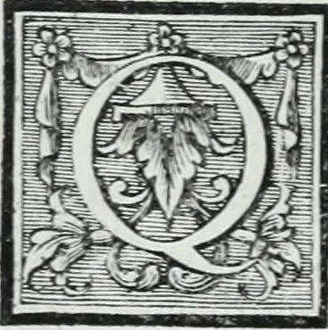 An illustration from Abregé de la vie des fameux peintres : avec leurs portraits gravés en taille-douce, les indications de leurs principaux ouvrages, quelques réflexions sur leurs caractéres, et la maniere de connoître les desseins des grands maîtres, 1745, leaf 75