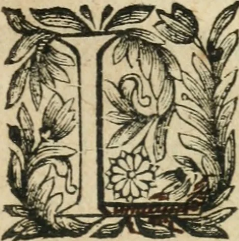 An illustration from Abregé des preceptes d'algebre, 1637, leaf 10