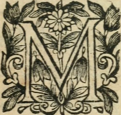 An illustration from Abregé des preceptes d'algebre, 1637, leaf 4
