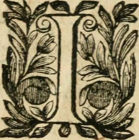 An illustration from Abregé des preceptes d'algebre, 1637, leaf 7