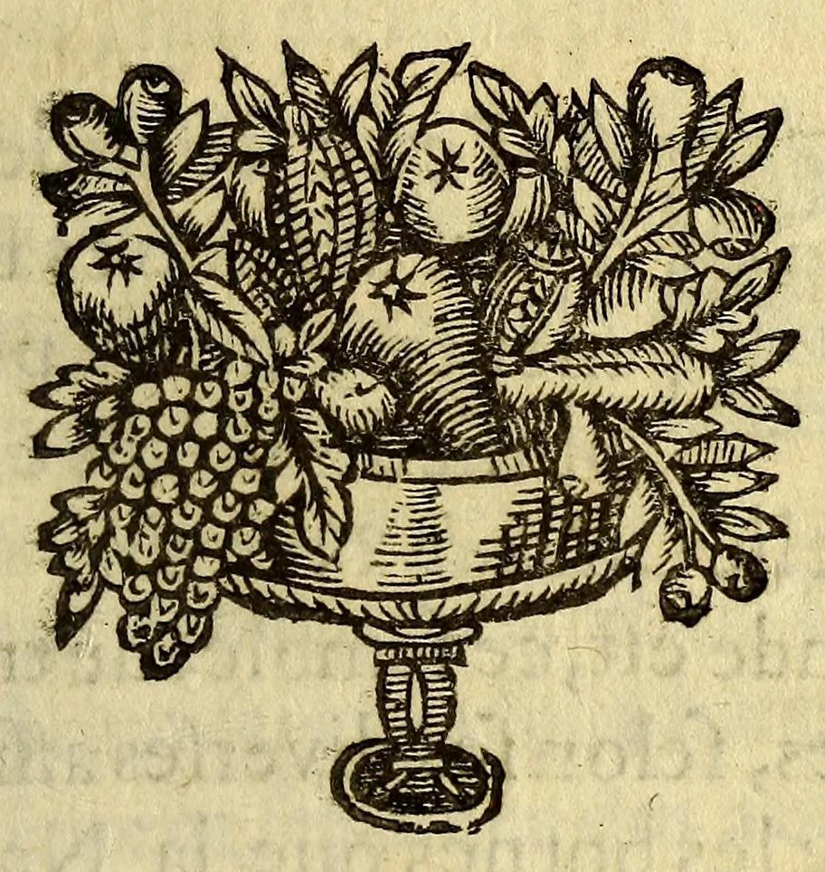 An illustration from Abregé du monde ou Discours général de ses parties. : Où il est traitté [sic] de leurs noms, qualités & divisions: des gouvernements, forces & richesses des païs; de la religion & meurs [sic] des inhabitans., 1646, leaf 25
