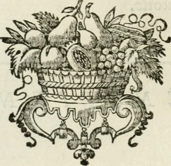 An illustration from Abrégé de la vie des plus fameux peintres, avec leurs portraits gravés en taille-douce, les indications de leurs principaux ouvrages, quelques réflexions sur leurs caractères, et la maniere de connoître les desseins et les tableaux des grands maîtres, 1762, leaf 15