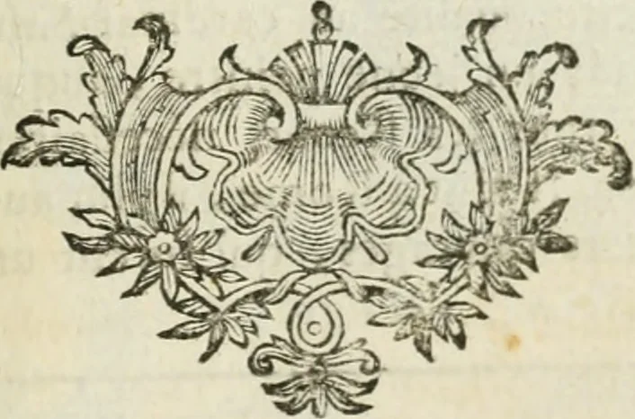 An illustration from Abrégé de la vie des plus fameux peintres, avec leurs portraits gravés en taille-douce, les indications de leurs principaux ouvrages, quelques réflexions sur leurs caractères, et la maniere de connoître les desseins et les tableaux des grands maîtres, 1762, leaf 314