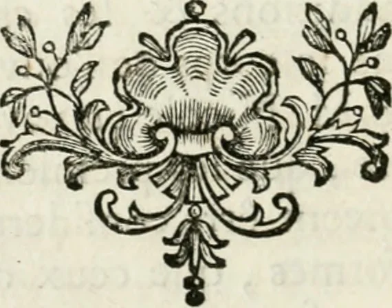 An illustration from Abrégé de la vie des plus fameux peintres, avec leurs portraits gravés en taille-douce, les indications de leurs principaux ouvrages, quelques réflexions sur leurs caractères, et la maniere de connoître les desseins et les tableaux des grands maîtres, 1762, leaf 45