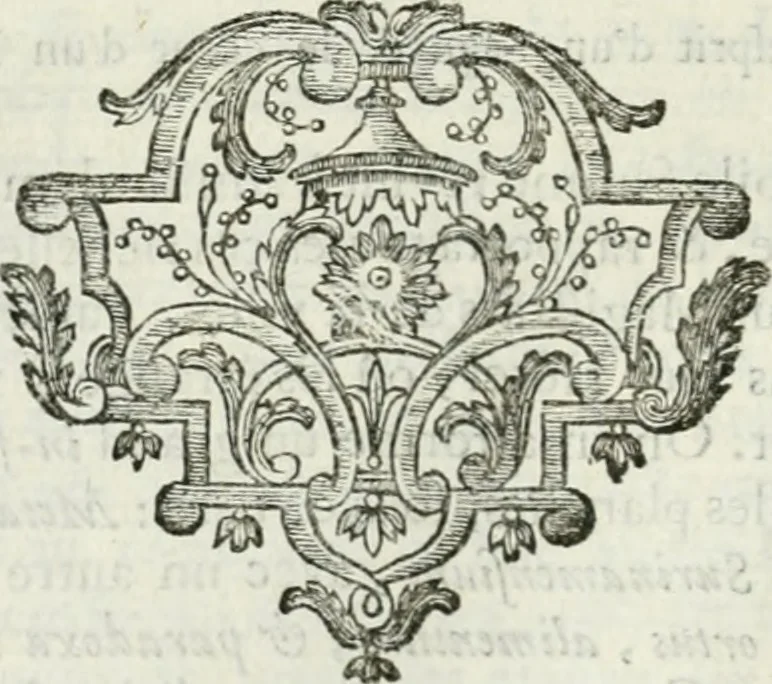 An illustration from Abrégé de la vie des plus fameux peintres, avec leurs portraits gravés en taille-douce, les indications de leurs principaux ouvrages, quelques réflexions sur leurs caractères, et la maniere de connoître les desseins et les tableaux des grands maîtres, 1762, leaf 107