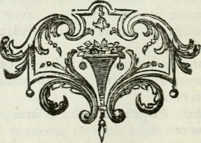 An illustration from Abrégé de la vie des plus fameux peintres, avec leurs portraits gravés en taille-douce, les indications de leurs principaux ouvrages, quelques réflexions sur leurs caractères, et la maniere de connoître les desseins et les tableaux des grands maîtres, 1762, leaf 115