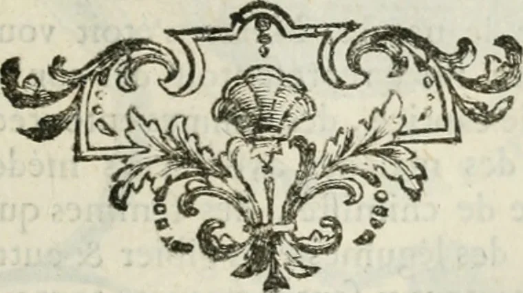 An illustration from Abrégé de la vie des plus fameux peintres, avec leurs portraits gravés en taille-douce, les indications de leurs principaux ouvrages, quelques réflexions sur leurs caractères, et la maniere de connoître les desseins et les tableaux des grands maîtres, 1762, leaf 216