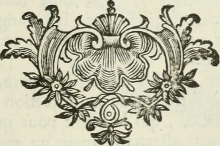 An illustration from Abrégé de la vie des plus fameux peintres, avec leurs portraits gravés en taille-douce, les indications de leurs principaux ouvrages, quelques réflexions sur leurs caractères, et la maniere de connoître les desseins et les tableaux des grands maîtres, 1762, leaf 250