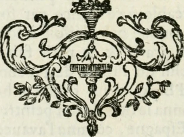 An illustration from Abrégé de la vie des plus fameux peintres, avec leurs portraits gravés en taille-douce, les indications de leurs principaux ouvrages, quelques réflexions sur leurs caractères, et la maniere de connoître les desseins et les tableaux des grands maîtres, 1762, leaf 325