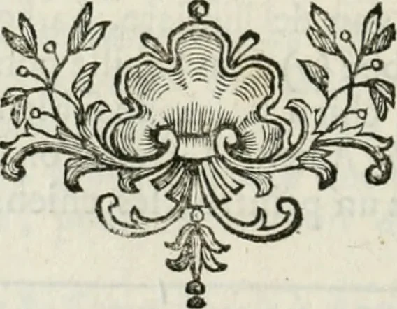 An illustration from Abrégé de la vie des plus fameux peintres, avec leurs portraits gravés en taille-douce, les indications de leurs principaux ouvrages, quelques réflexions sur leurs caractères, et la maniere de connoître les desseins et les tableaux des grands maîtres, 1762, leaf 361