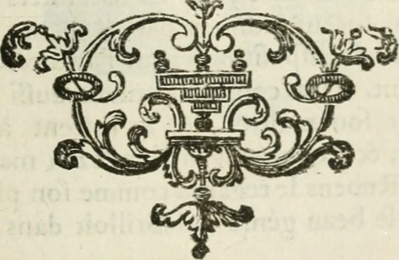An illustration from Abrégé de la vie des plus fameux peintres, avec leurs portraits gravés en taille-douce, les indications de leurs principaux ouvrages, quelques réflexions sur leurs caractères, et la maniere de connoître les desseins et les tableaux des grands maîtres, 1762, leaf 470