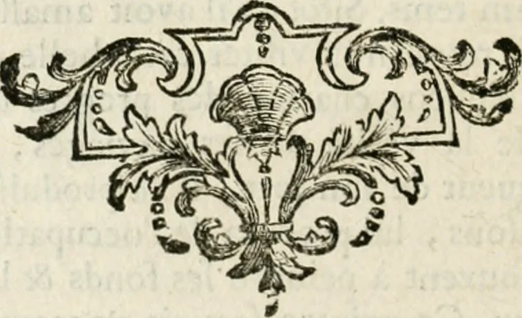 An illustration from Abrégé de la vie des plus fameux peintres, avec leurs portraits gravés en taille-douce, les indications de leurs principaux ouvrages, quelques réflexions sur leurs caractères, et la maniere de connoître les desseins et les tableaux des grands maîtres, 1762, leaf 505