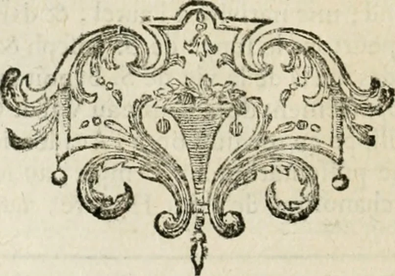 An illustration from Abrégé de la vie des plus fameux peintres, avec leurs portraits gravés en taille-douce, les indications de leurs principaux ouvrages, quelques réflexions sur leurs caractères, et la maniere de connoître les desseins et les tableaux des grands maîtres, 1762, leaf 551