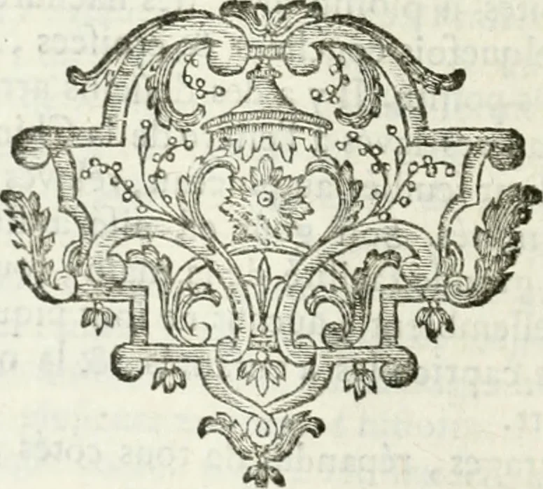 An illustration from Abrégé de la vie des plus fameux peintres, avec leurs portraits gravés en taille-douce, les indications de leurs principaux ouvrages, quelques réflexions sur leurs caractères, et la maniere de connoître les desseins et les tableaux des grands maîtres, 1762, leaf 607