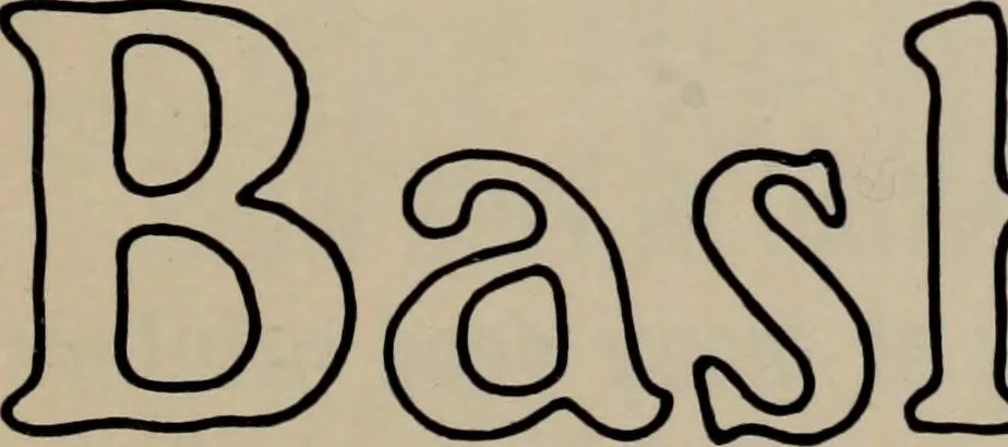 An illustration from Abridged specimen book, type : nickel-alloy on universal line comprising a price list of types, borders, leads and slugs, brass rule, brass galleys ; miscellaneous cuts and general supplies for printers, 1906, leaf 120