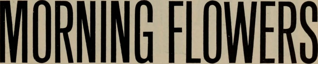 An illustration from Abridged specimen book, type : nickel-alloy on universal line comprising a price list of types, borders, leads and slugs, brass rule, brass galleys ; miscellaneous cuts and general supplies for printers, 1906, leaf 198
