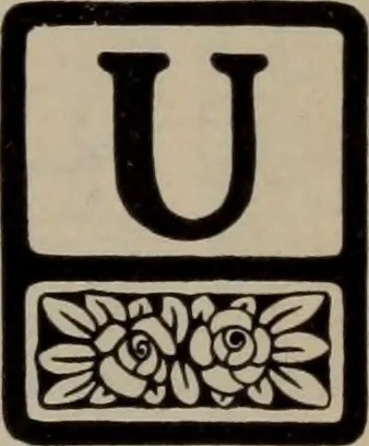 An illustration from Abridged specimen book, type : nickel-alloy on universal line comprising a price list of types, borders, leads and slugs, brass rule, brass galleys ; miscellaneous cuts and general supplies for printers, 1906, leaf 350