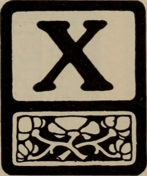An illustration from Abridged specimen book, type : nickel-alloy on universal line comprising a price list of types, borders, leads and slugs, brass rule, brass galleys ; miscellaneous cuts and general supplies for printers, 1906, leaf 350